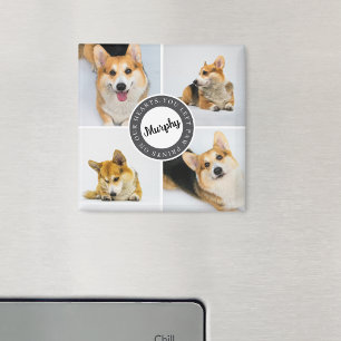 Pet Memorial Loss 4 Photo Collage Quote Keepsake Magnet