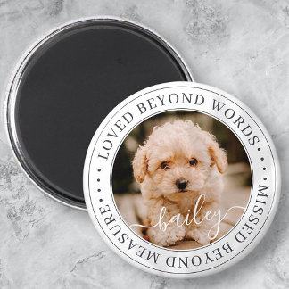 Pet Memorial Loved Beyond Words Elegant Chic Photo Magnet