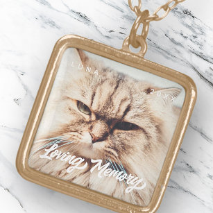 Pet Memorial Loving Memory Modern Simple Photo Gold Plated Necklace
