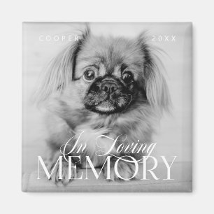Pet Memorial Loving Memory Simple Modern Photo Magnet