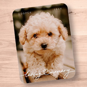 Pet Memorial Loving Memory Simple Modern Photo Magnet