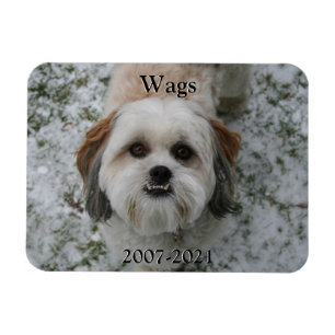 Pet Memorial Magnet