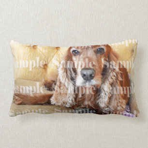 Pet memorial memory / PERSONALIZE photo Lumbar Cushion
