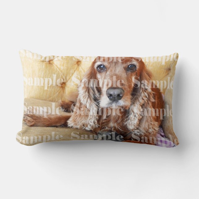Pet memorial memory / PERSONALIZE photo Lumbar Cushion (Front)
