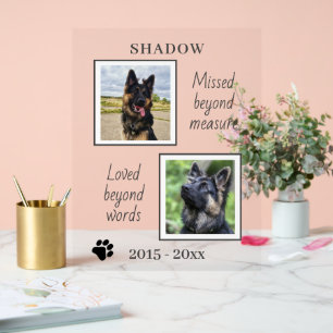 Pet Memorial Missed beyond Measure Photo Acrylic Sign