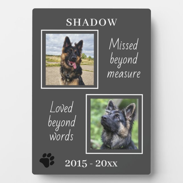 Pet Memorial Missed Beyond Measure Photo Plaque (Front)