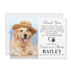 Pet Memorial Modern Photo Dog Loss Sympathy