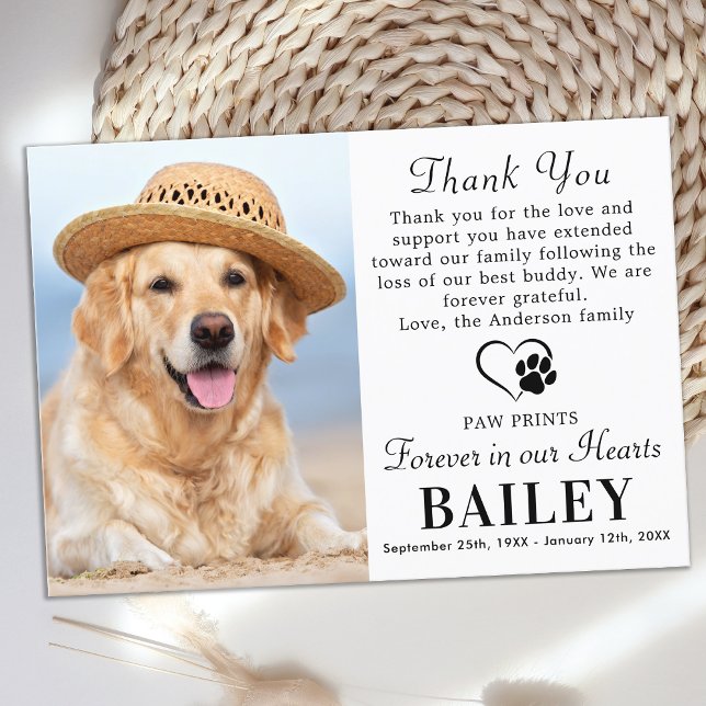 Pet Memorial Modern Photo Dog Loss Sympathy Thank You Card (Creator Uploaded)