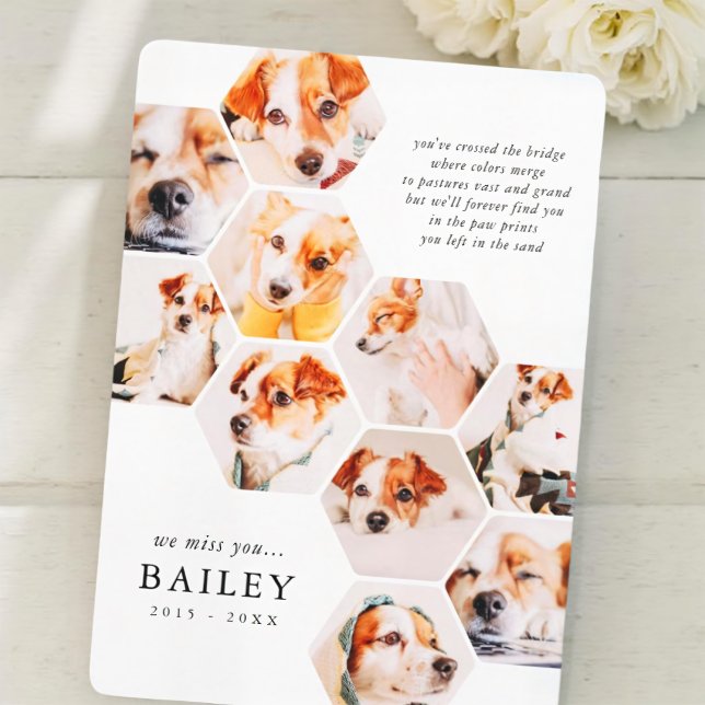 Pet Memorial Modern Simple 10 Photo Collage Card (Creator Uploaded)