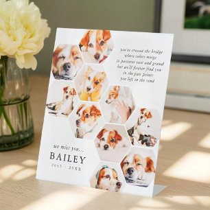 Pet Memorial Modern Simple 10 Photo Collage Card Pedestal Sign