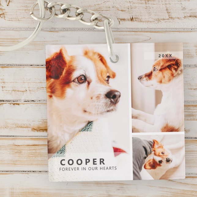 Pet Memorial Modern Simple Geometric Photo Collage Key Ring (Creator Uploaded)