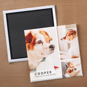 Pet Memorial Modern Simple Geometric Photo Collage Magnet