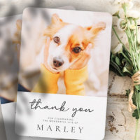 Pet Memorial Modern Simple Minimalist Chic Photo