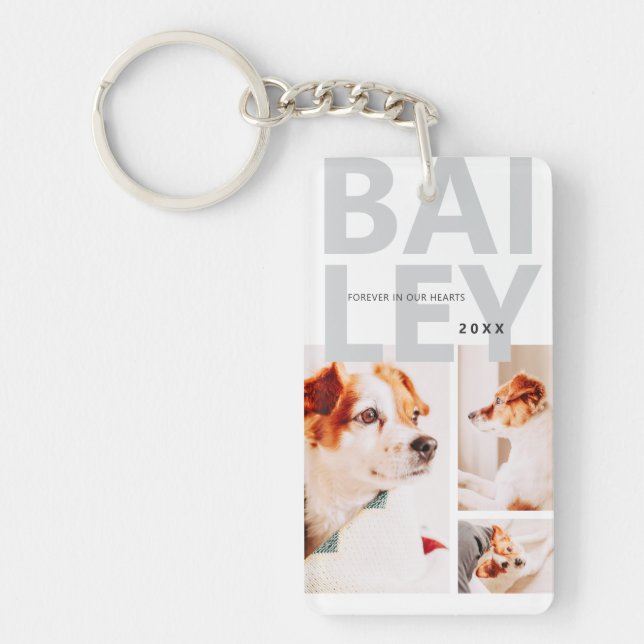 Pet Memorial Modern Simple Three Photo Collage Key Ring (Front)