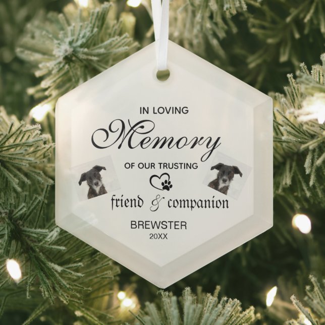 Pet Memorial Ornament - Custom Photo Keepsake! (Insitu)