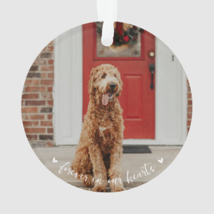 Pet Memorial Paw Print Photo Ornament