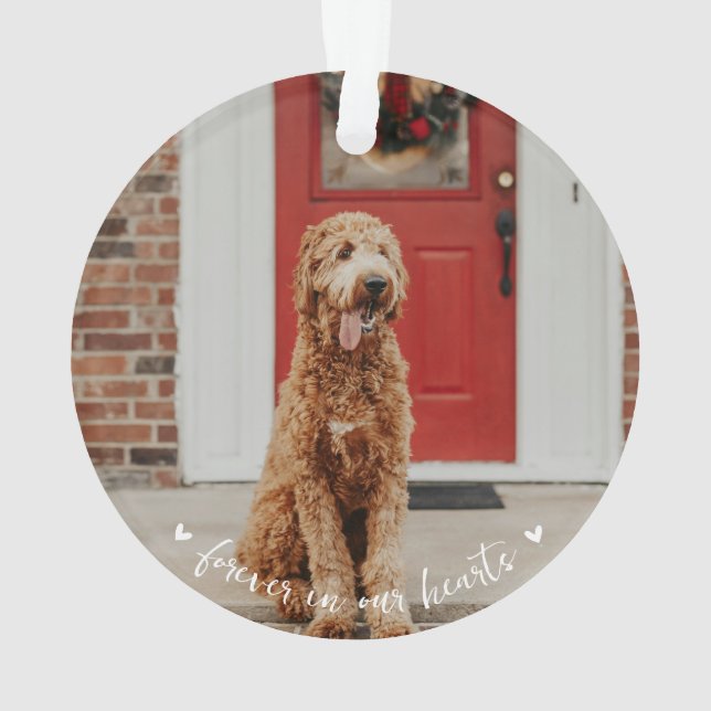 Pet Memorial Paw Print Photo Ornament (Back)