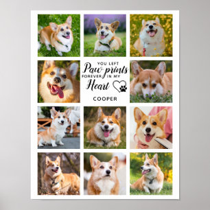 Pet Memorial Paw Prints Personalised 11 Photo