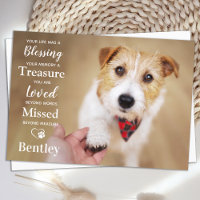 Pet Memorial Personalise Modern Dog Photo Sympathy