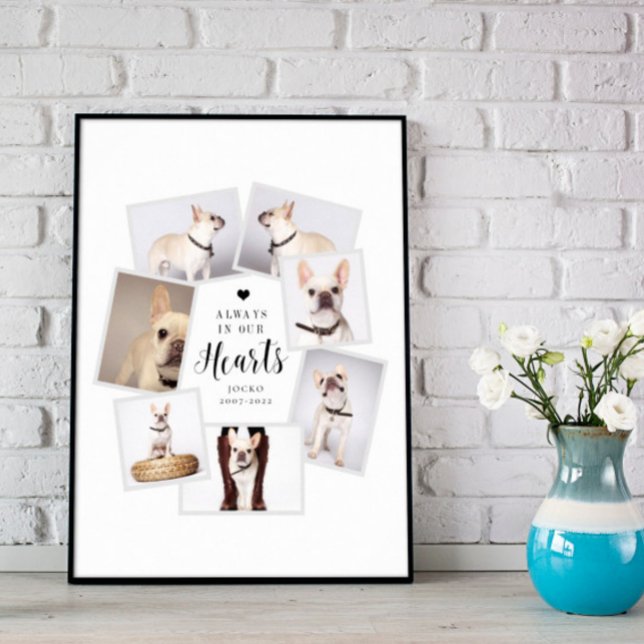Pet Memorial Personalised Multi Photo Collage Poster (Creator Uploaded)