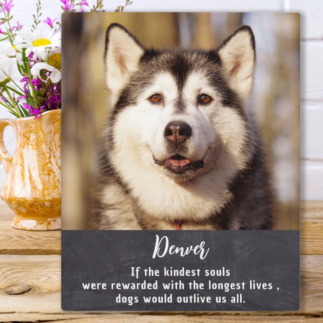 Pet Memorial Personalised Picture Dog Lover  Plaque (Creator Uploaded)