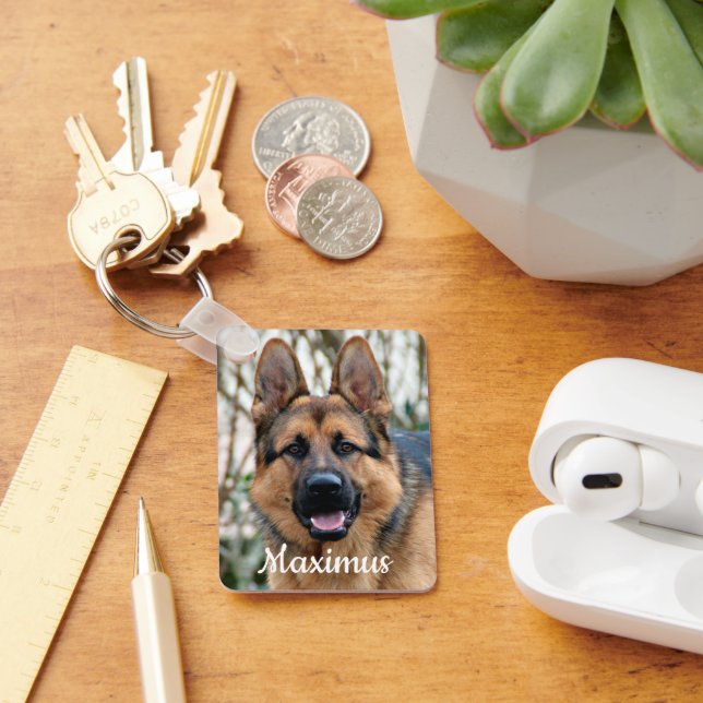 Pet Memorial Pet Loss Dog Rainbow Bridge Sympathy Key Ring (Desk)