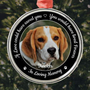 Pet Memorial Pet Loss Keepsake Sympathy Photo Metal Ornament