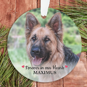 Pet Memorial Pet Loss Personalised Dog Photo Ornament