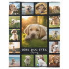 Pet Memorial Photo Collage