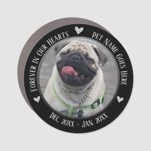 Pet Memorial Photo Forever in Our Hearts Car Magnet