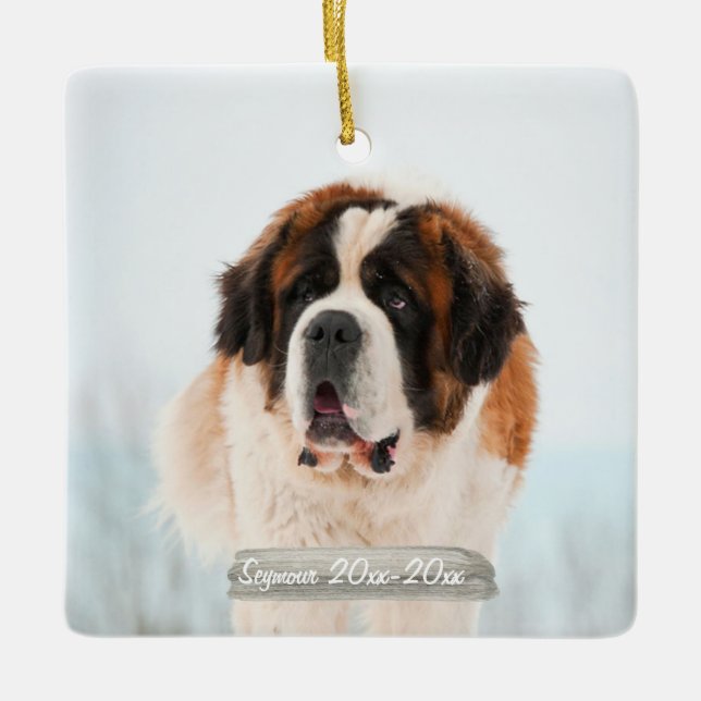 Pet Memorial Photo Ornament (Front)