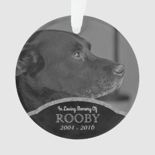 Pet Memorial Photo Personalised Name Christmas Ornament