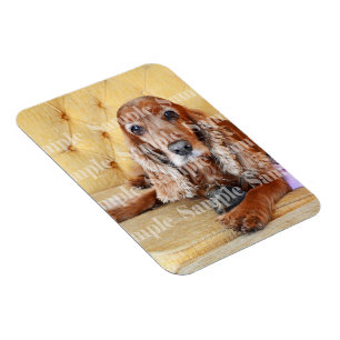 Pet memorial photo PERSONALIZE Magnet