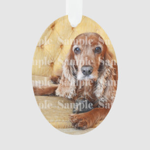 Pet memorial photo PERSONALIZE Ornament