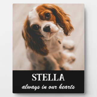 Pet Memorial Picture Plaque