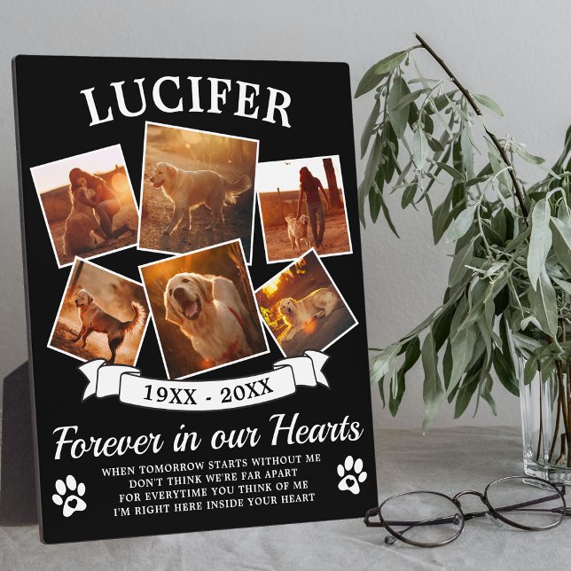 Pet Memorial Plaque (Creator Uploaded)