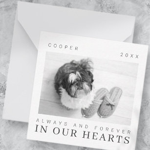 Pet Memorial Quote Simple Modern Chic Photo Card