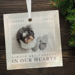 Pet Memorial Quote Simple Modern Chic Photo Glass Tree Decoration