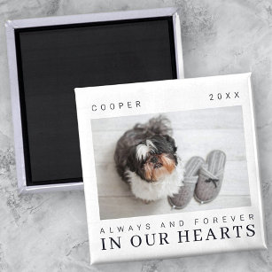 Pet Memorial Quote Simple Modern Chic Photo Magnet