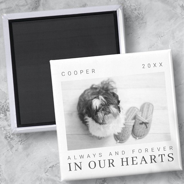 Pet Memorial Quote Simple Modern Chic Photo Magnet (Creator Uploaded)