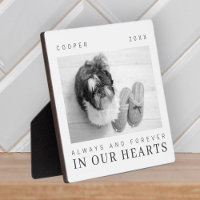 Pet Memorial Quote Simple Modern Chic Photo