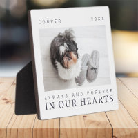 Pet Memorial Quote Simple Modern Chic Photo