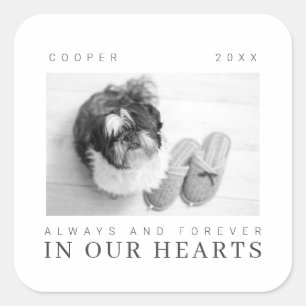 Pet Memorial Quote Simple Modern Chic Photo Square Sticker