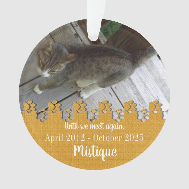 Pet Memorial Remembrance Beloved Keepsake Ornament (Front)