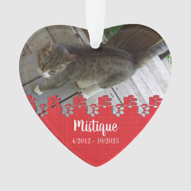 Pet Memorial Remembrance Beloved Keepsake Ornament (Front)