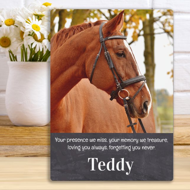 Pet Memorial Remembrance Custom Pet Horse Photo Plaque (Creator Uploaded)