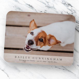 Pet Memorial Simple and Modern Custom Photo Card Magnet