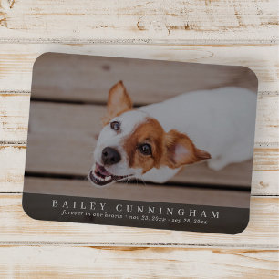 Pet Memorial Simple and Modern Custom Photo Card Magnet