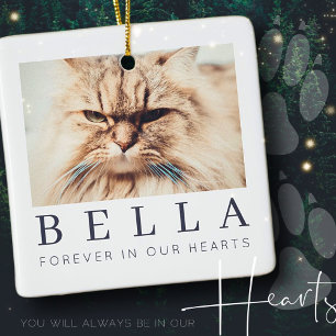 Pet Memorial Simple Modern Chic Family Photo Ceramic Ornament