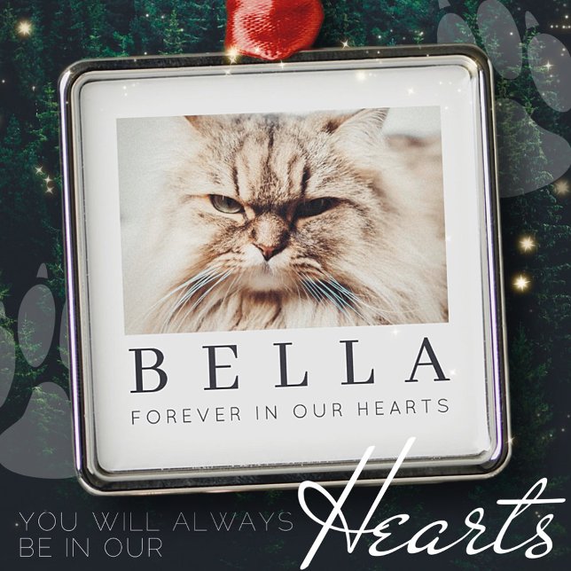 Pet Memorial Simple Modern Chic Family Photo Metal Ornament (Creator Uploaded)